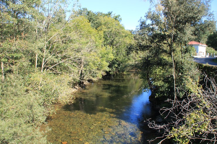 Río Asón (3)