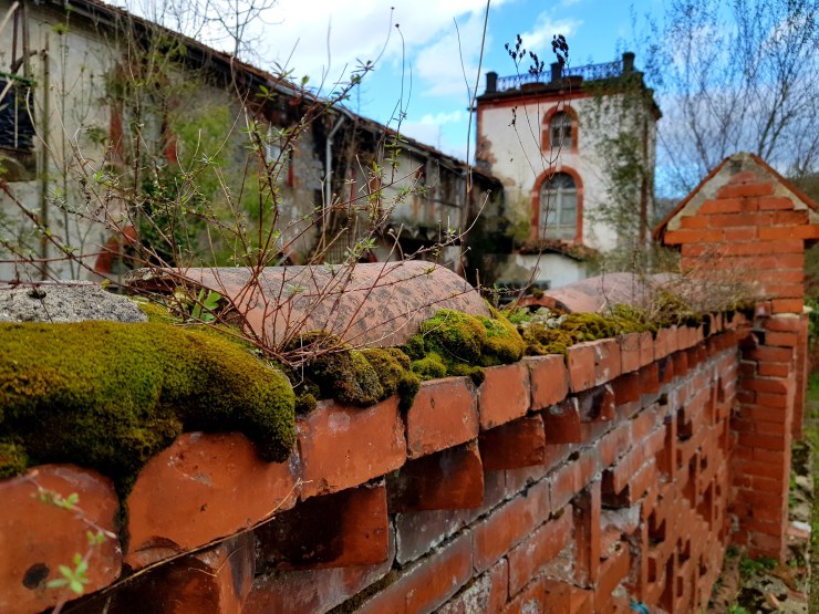 desde fuera pero con sentimiento